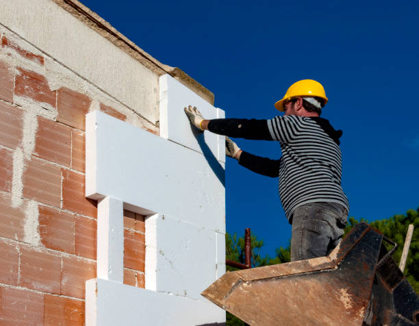 Best Insulation Materials and Products in Ash Grove, MO